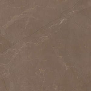 ELEGANT MOCHA 20X60